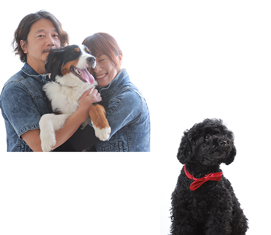 ペット写真